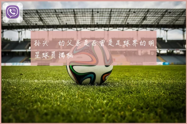 孙兴慜的父亲是否曾是足球界的明星球员揭秘