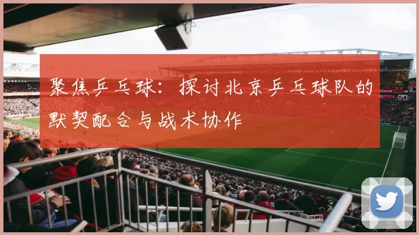 聚焦乒乓球：探讨北京乒乓球队的默契配合与战术协作