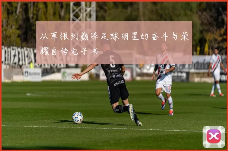 从草根到巅峰足球明星的奋斗与荣耀自传电子书