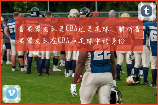 香港翼龙队是CBA还是足球：解析香港翼龙队在CBA和足球中的身份