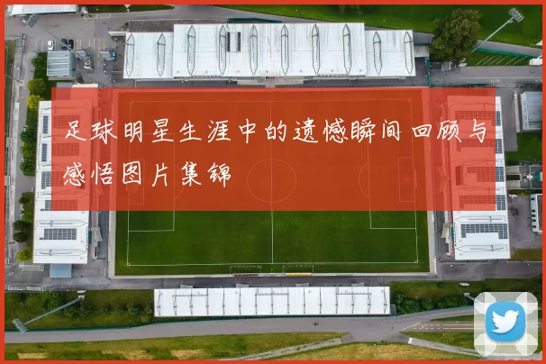足球明星生涯中的遗憾瞬间回顾与感悟图片集锦