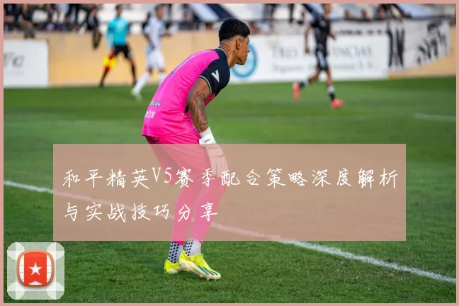 和平精英V5赛季配合策略深度解析与实战技巧分享