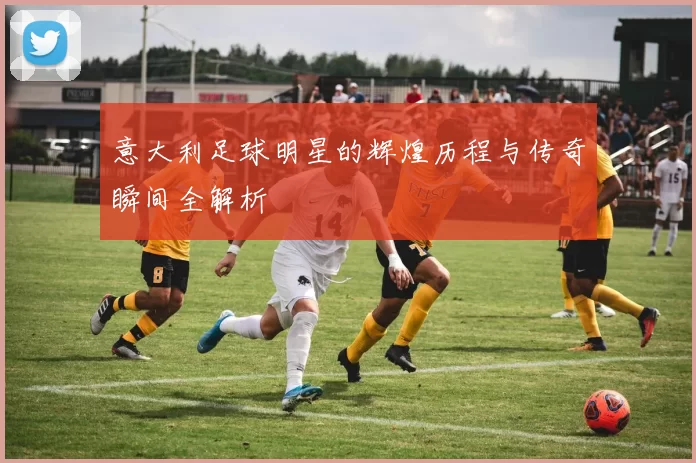 意大利足球明星的辉煌历程与传奇瞬间全解析