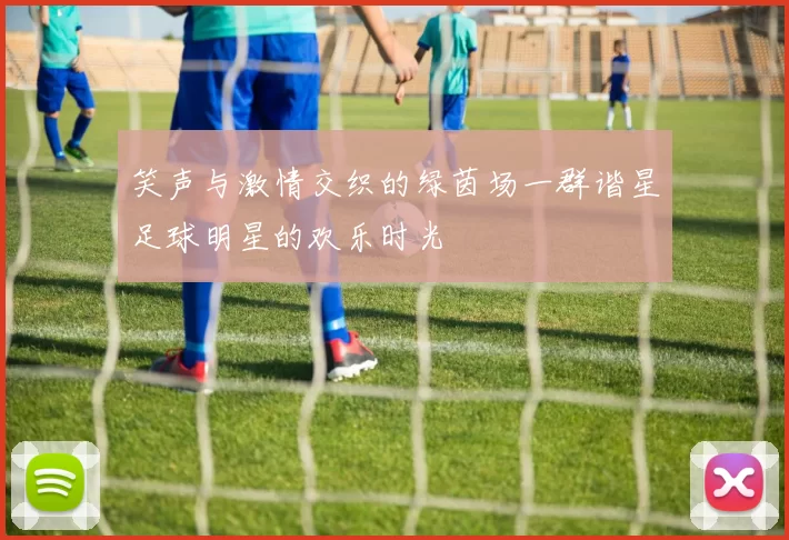 笑声与激情交织的绿茵场一群谐星足球明星的欢乐时光