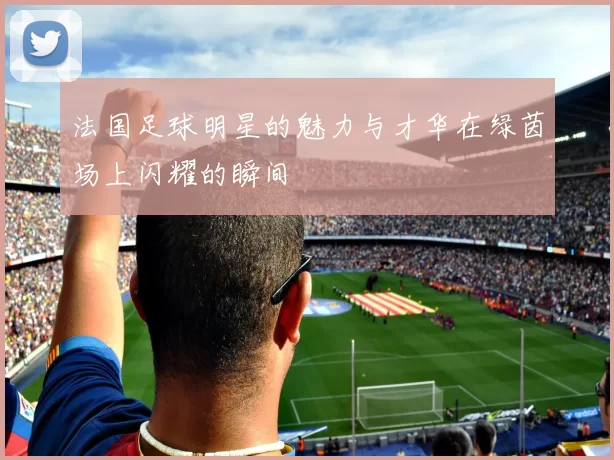 法国足球明星的魅力与才华在绿茵场上闪耀的瞬间