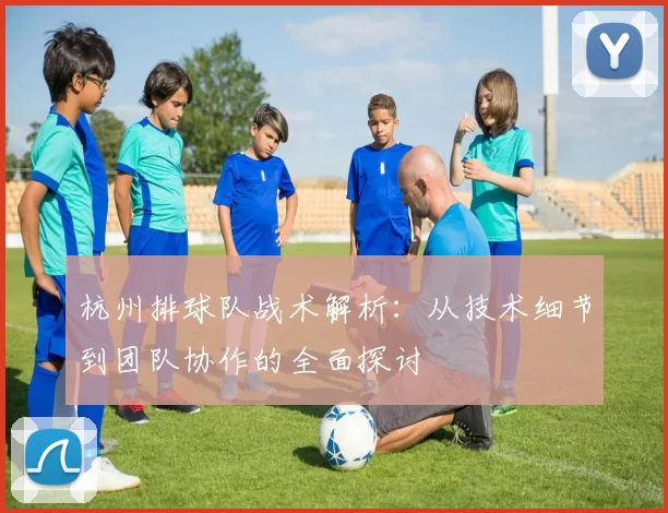 杭州排球队战术解析：从技术细节到团队协作的全面探讨