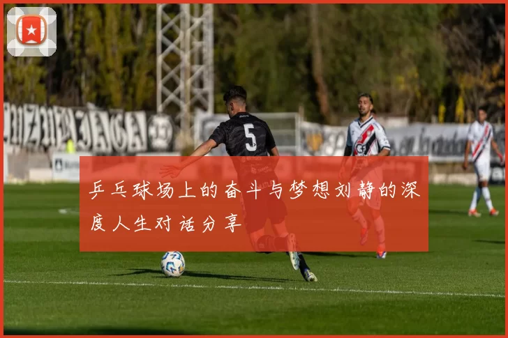 乒乓球场上的奋斗与梦想刘静的深度人生对话分享