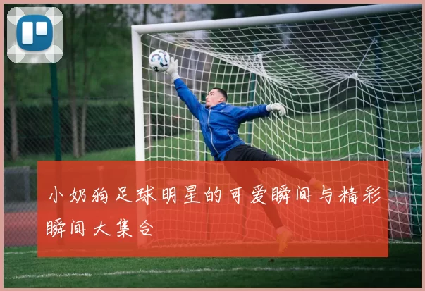 小奶狗足球明星的可爱瞬间与精彩瞬间大集合