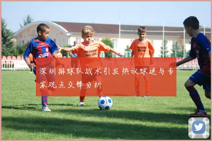 深圳排球队战术引发热议球迷与专家观点交锋分析