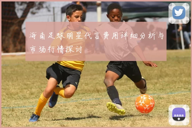 海南足球明星代言费用详细分析与市场行情探讨