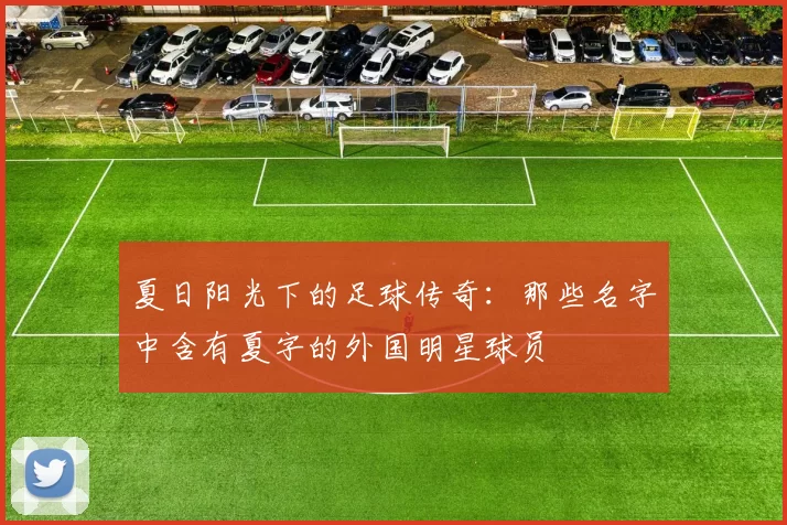夏日阳光下的足球传奇：那些名字中含有夏字的外国明星球员