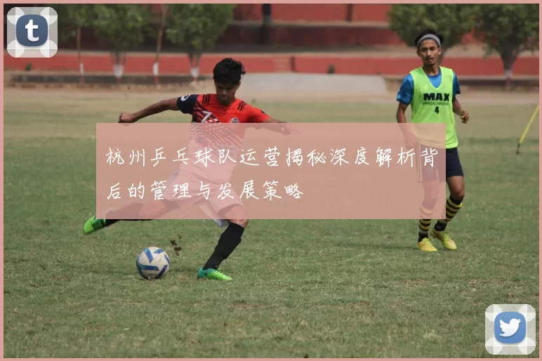 杭州乒乓球队运营揭秘深度解析背后的管理与发展策略