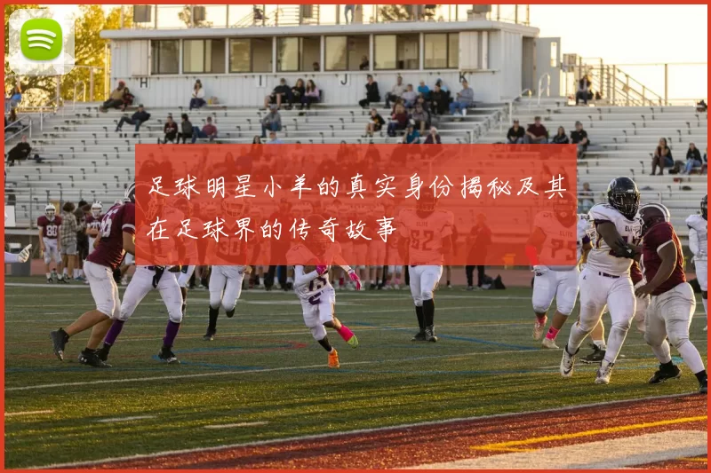 足球明星小羊的真实身份揭秘及其在足球界的传奇故事