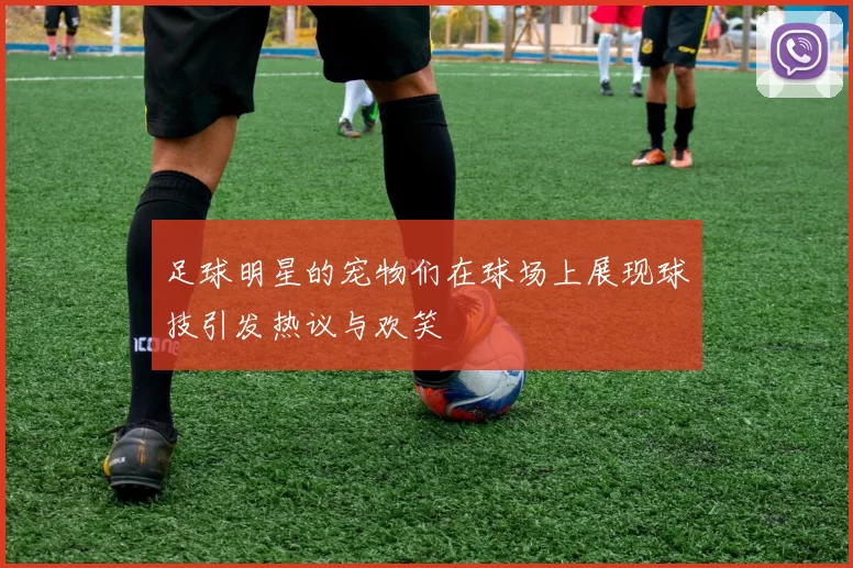 足球明星的宠物们在球场上展现球技引发热议与欢笑