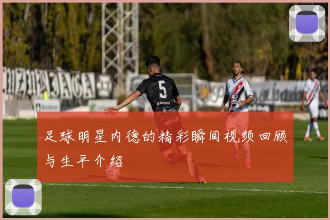 足球明星内德的精彩瞬间视频回顾与生平介绍