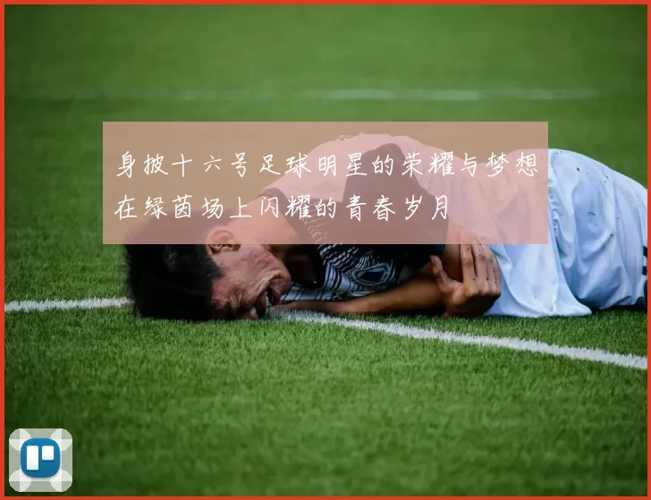 身披十六号足球明星的荣耀与梦想在绿茵场上闪耀的青春岁月