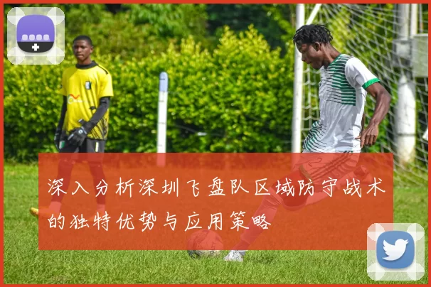 深入分析深圳飞盘队区域防守战术的独特优势与应用策略