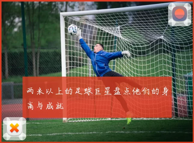 两米以上的足球巨星盘点他们的身高与成就